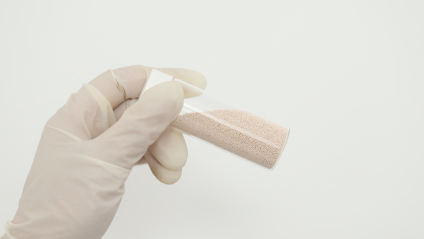 Free Preliminary Consultation