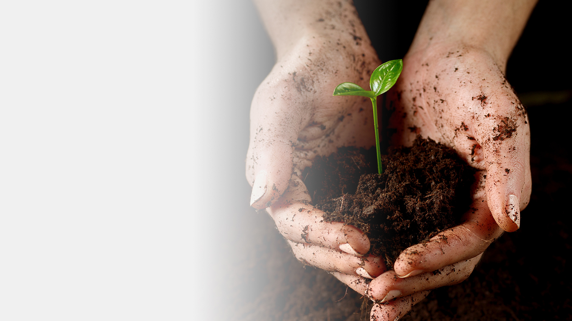 Synthetic gas production Unit