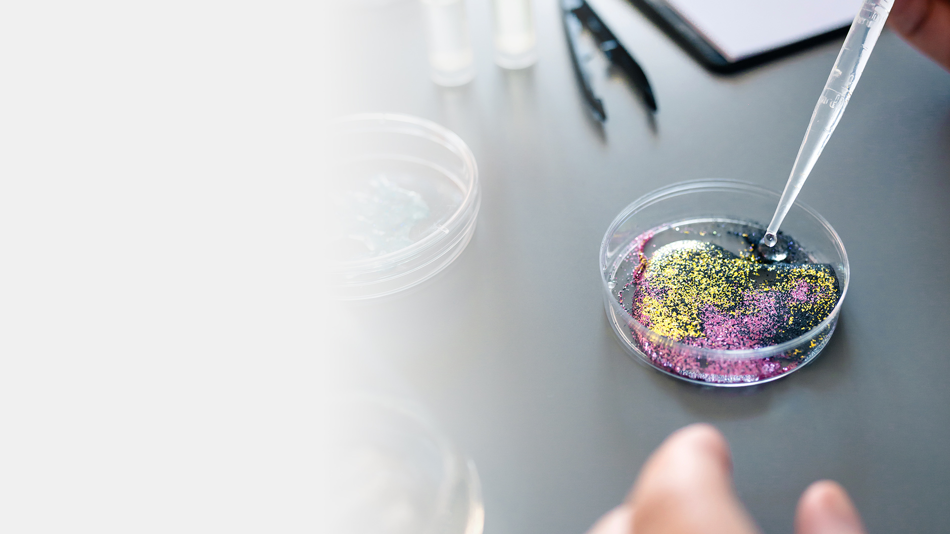 Environmental Protection